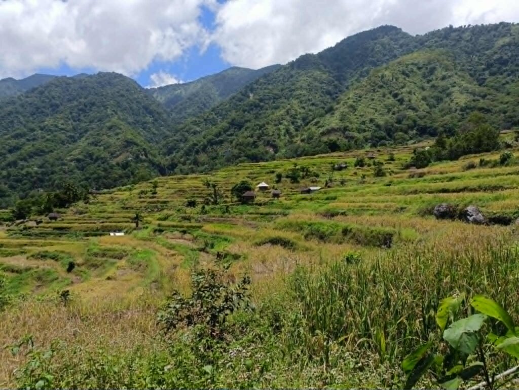 Rice terraces and farmland in a rural mountain community in the Philippines