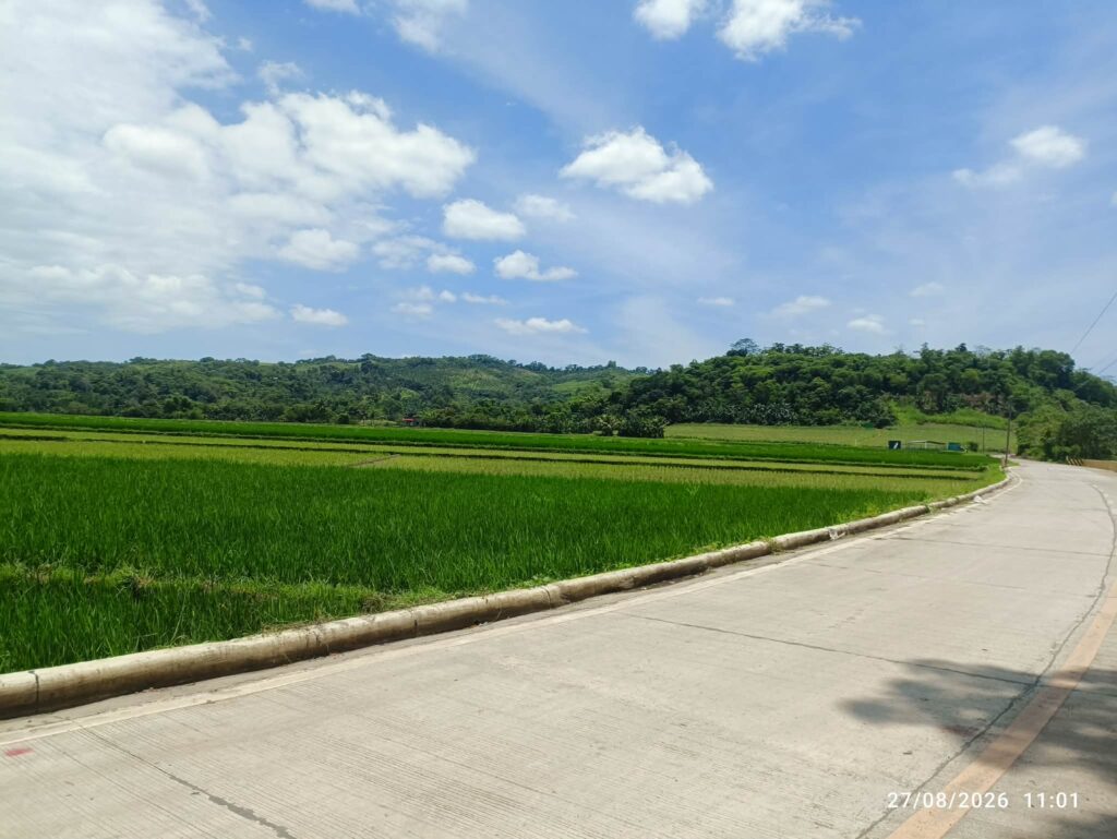 Paved road beside rice fields in rural areas in the Philippines